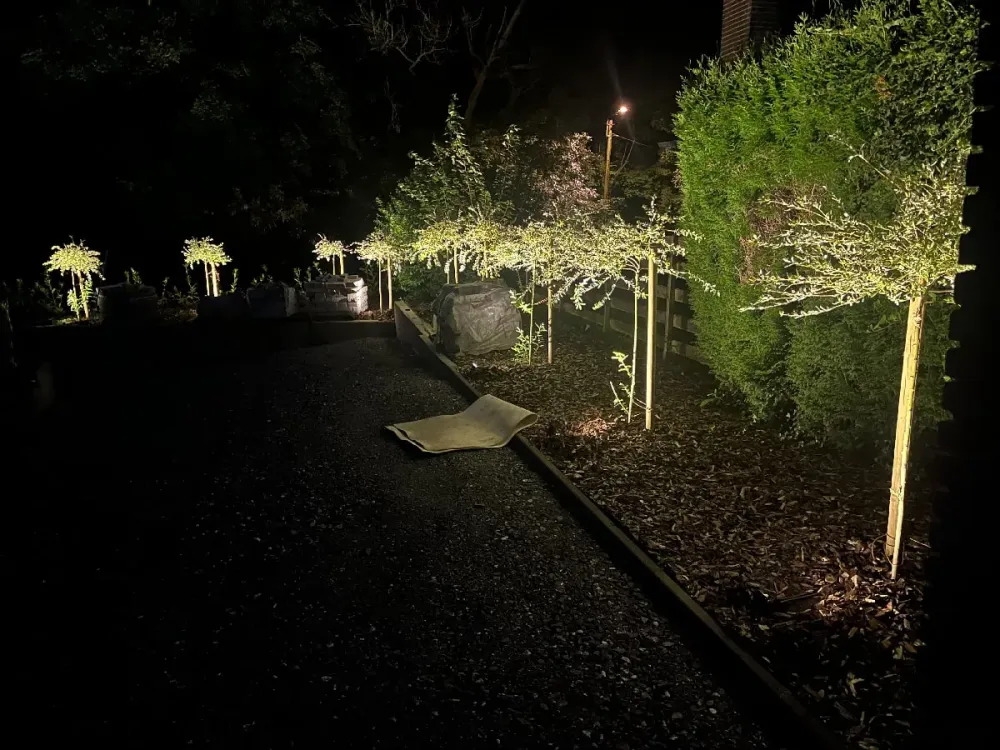 electricien-domotique-installation (1)-min